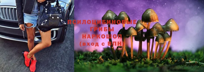 Галлюциногенные грибы Magic Shrooms  наркотики  Корсаков 